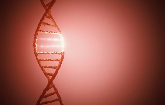 Magnesiumtekort gerelateerd aan DNA schade